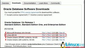Linux 系统安装Oracle Database 12c 图文详解教程