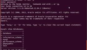 Ubuntu下安装MySQL及简单操作