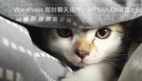 WordPress 即时聊天插件：WP Live Chat Support