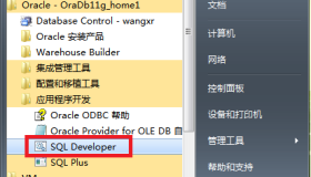 Oracle Database 11g Release 2自带SQL Developer启动不了解决办法