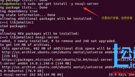MSSQL Server on Linux – Linux下安装测试MSSQL Server