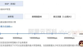 阿里云公网带宽最大可选20000Mbps（2万兆带宽）